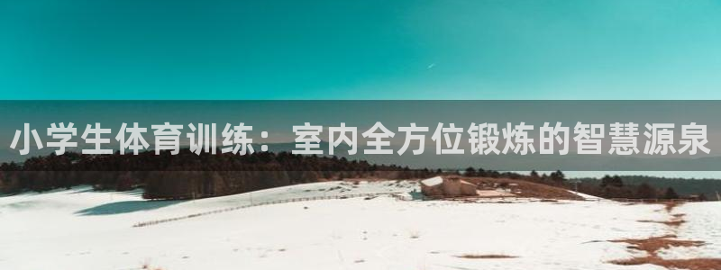 vsport体育