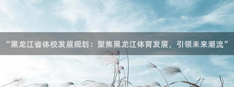 vsport体育：“黑龙江省体校发展规划：聚焦黑龙江体育发展，引领未来潮流”