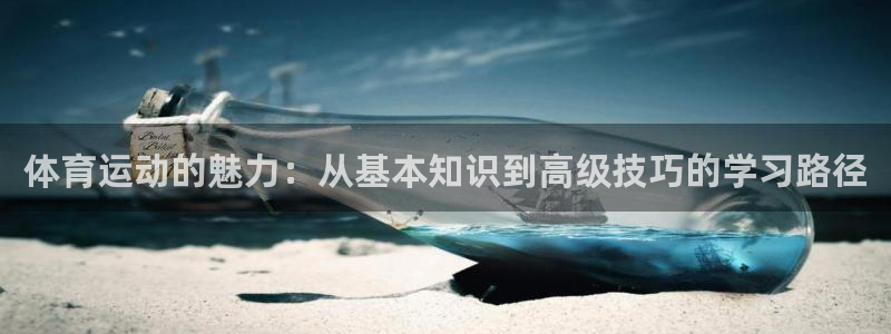vsport体育在线官网：体育运动的魅力：从基本知识到高级技巧的学习路径