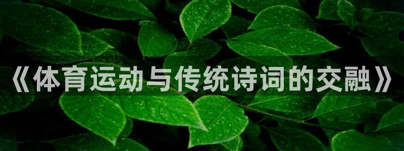 vsport体育：《体育运动与传统诗词的交融》