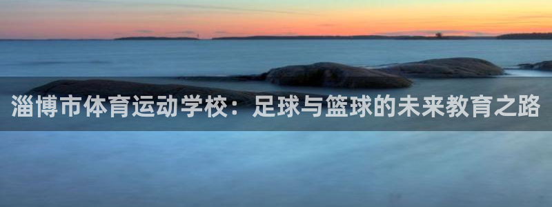 vsport体育在线官网