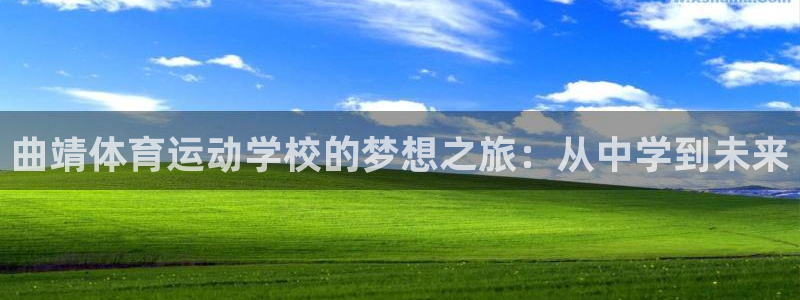 vsport体育在线官网